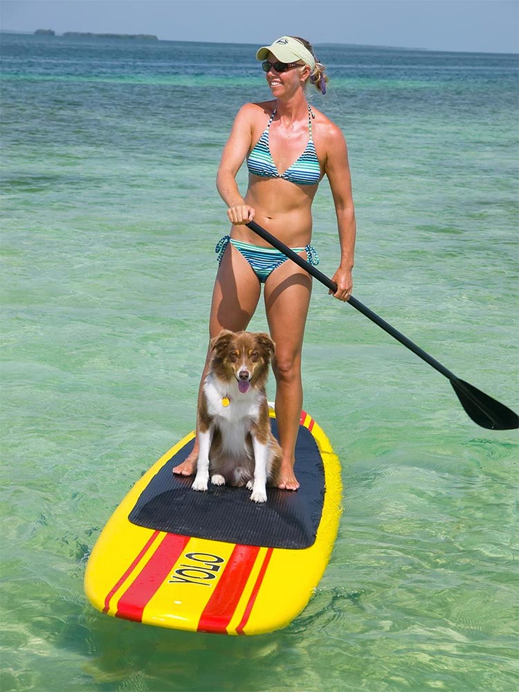 paddleboard key west, dog friendly key west