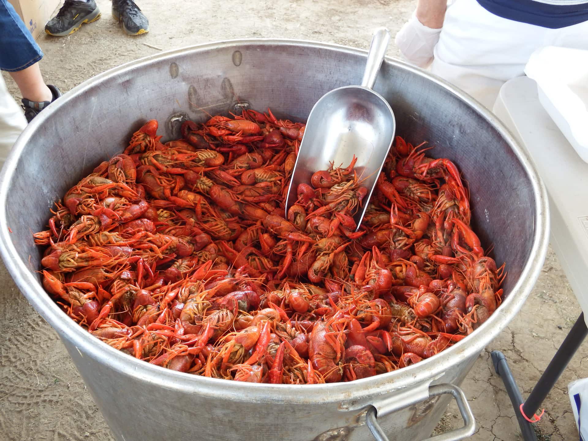 crawfish festival, florida food festival, pensacola food, things to do in pensacola