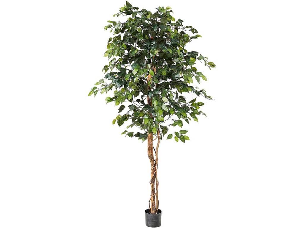 Nearly Natural 6ft. Ficus Artificial Trees, 72in, Green