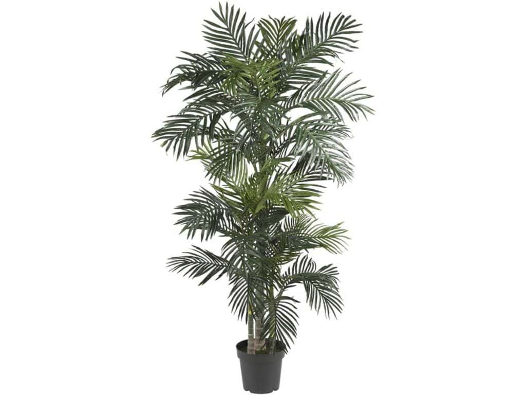 Nearly Natural 5289 6.5ft. Golden Cane Palm Silk Tree, Green
