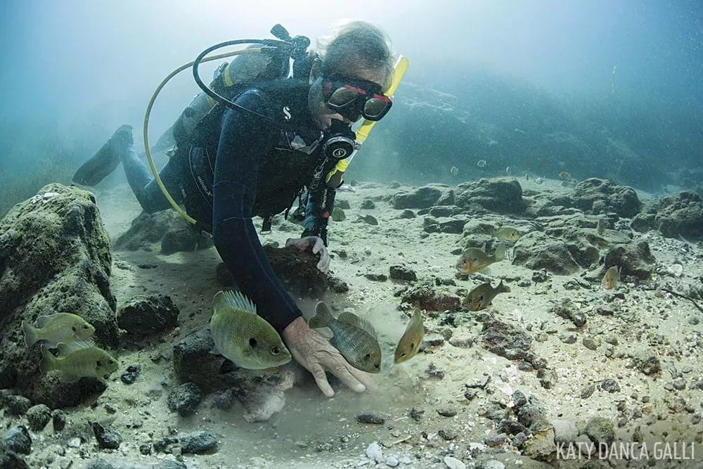 scuba diving florida, florida rainbow river, diving in florida