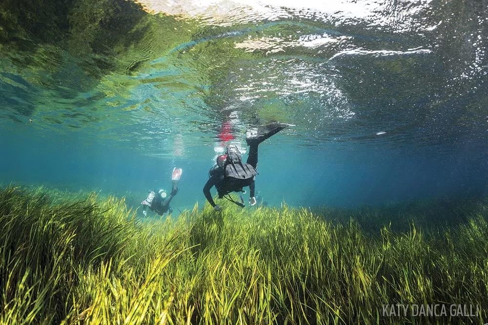 scuba divers florida, florida rivers to dive