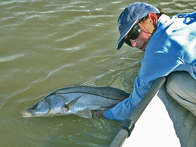 how to catch snook, florida fishing snook