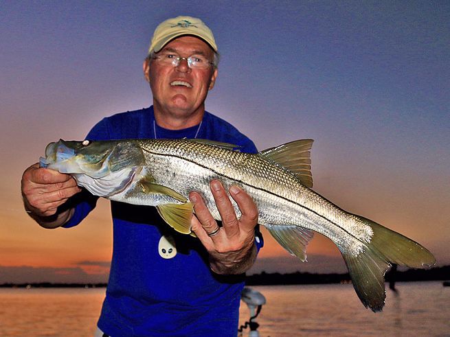 tampa bay fishing, sarasota fishing, snook fishing