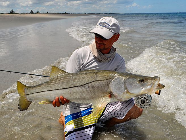 where to find big snook