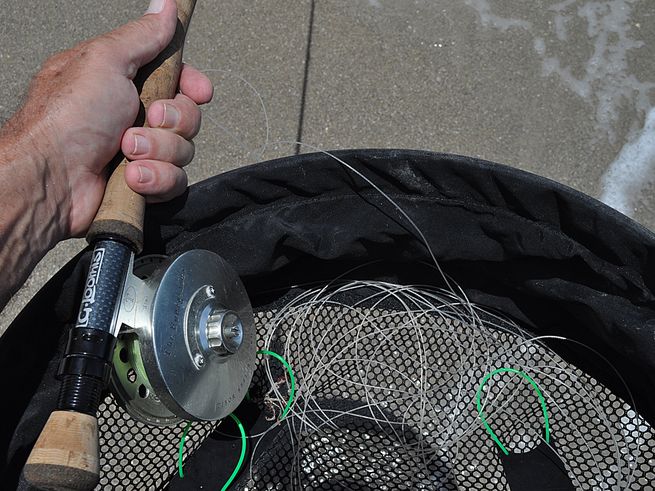 fishing gear, snook fishing gear