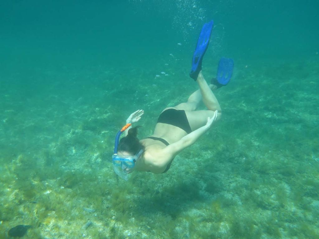 swim with manatee, snorkel florida springs