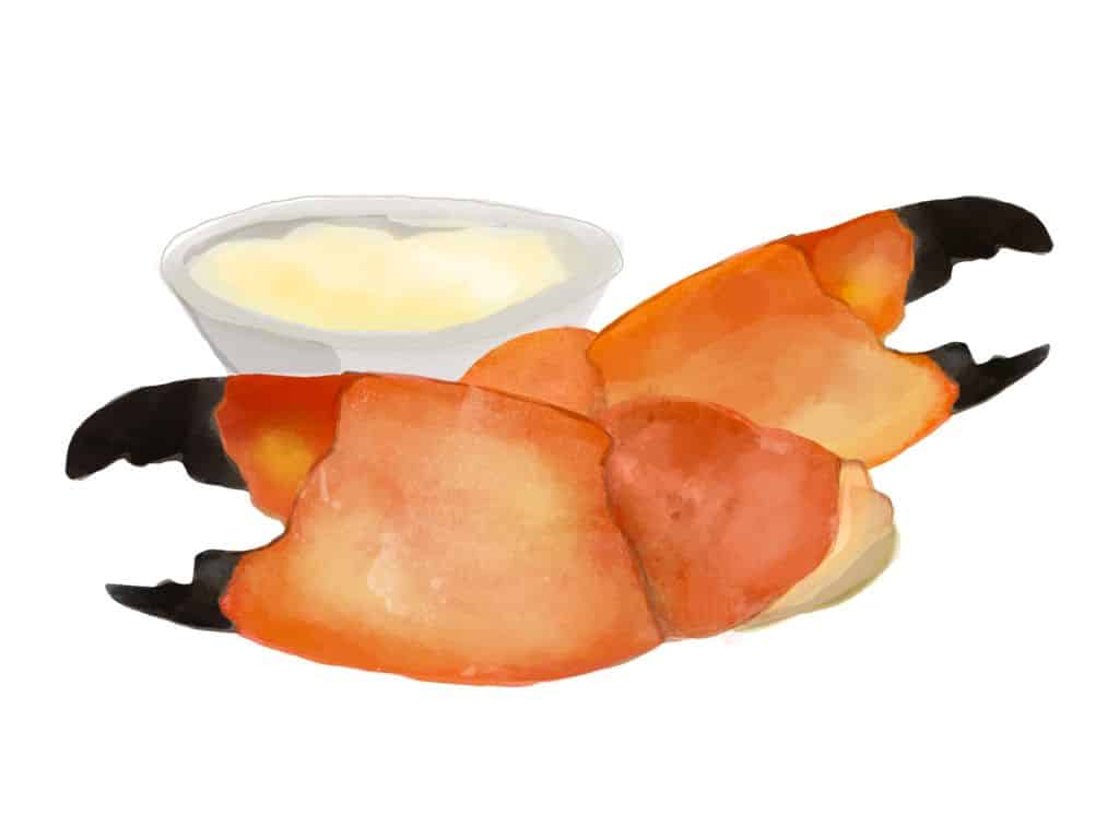 florida stone crab