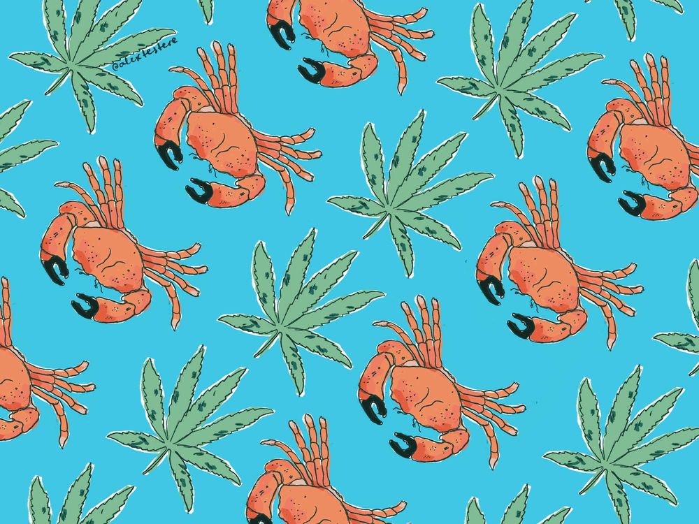 crab drawing, marijuana leaf