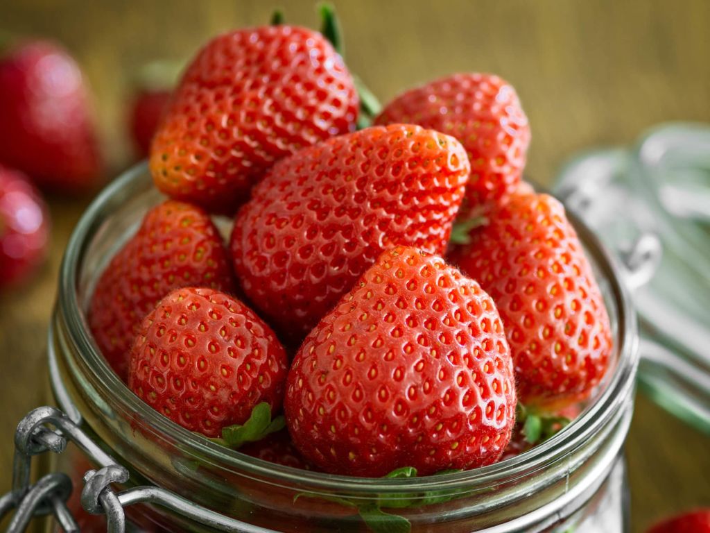 florida strawberry season, florida fruit