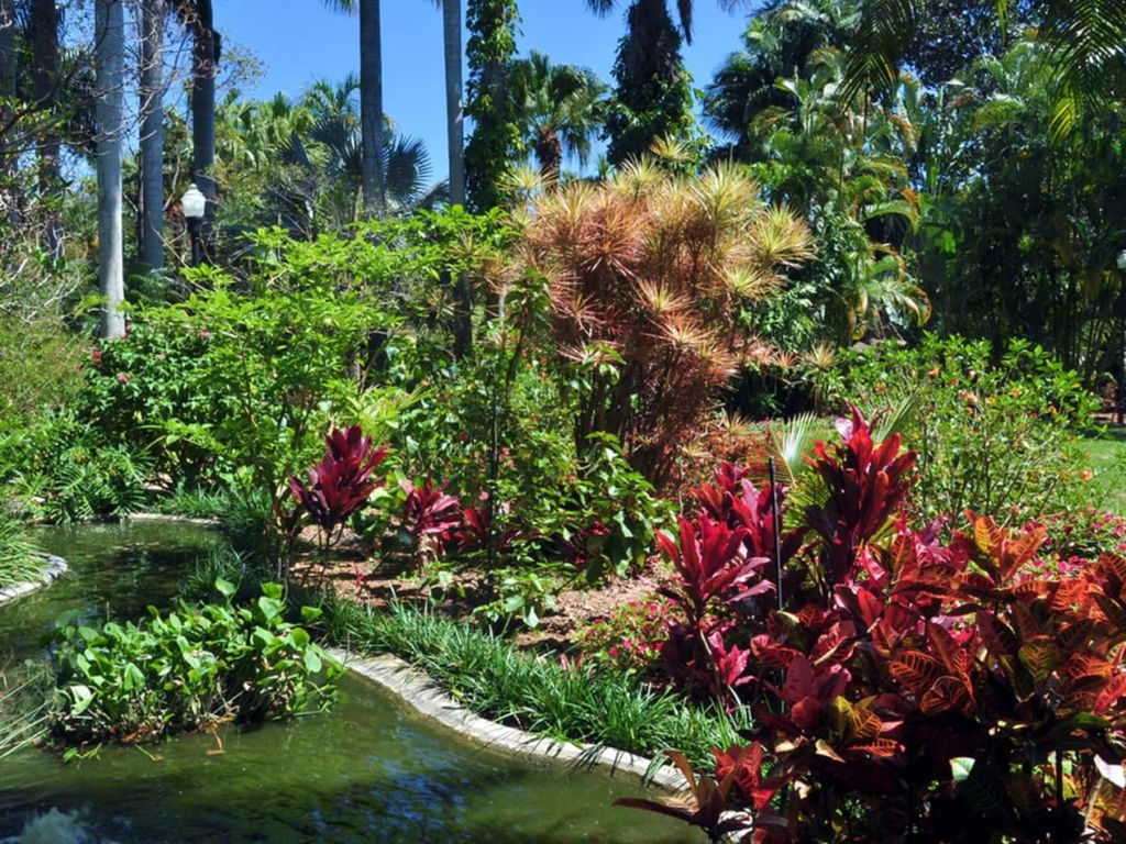 Sunken Gardens, st pete gardens, st petersburg florida garden