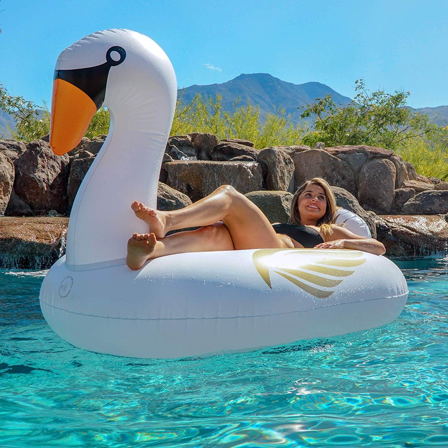 swan pool float