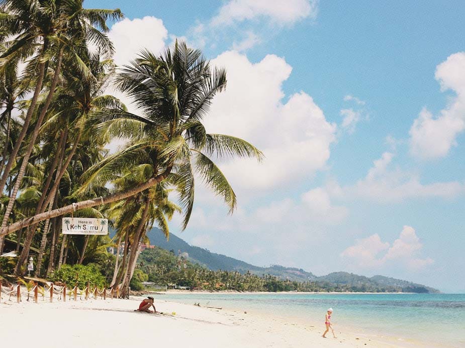 Tropical Beach Views