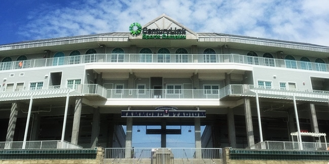 Hammond Stadium at CenturyLink Sports Complex