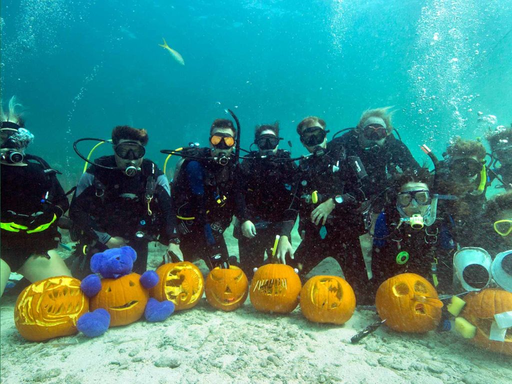 divers carving pumpkins