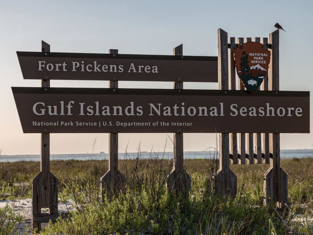 for pickens, things to do in north florida