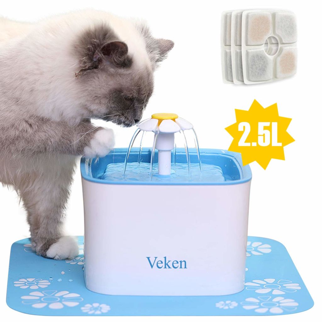 cat water fountain