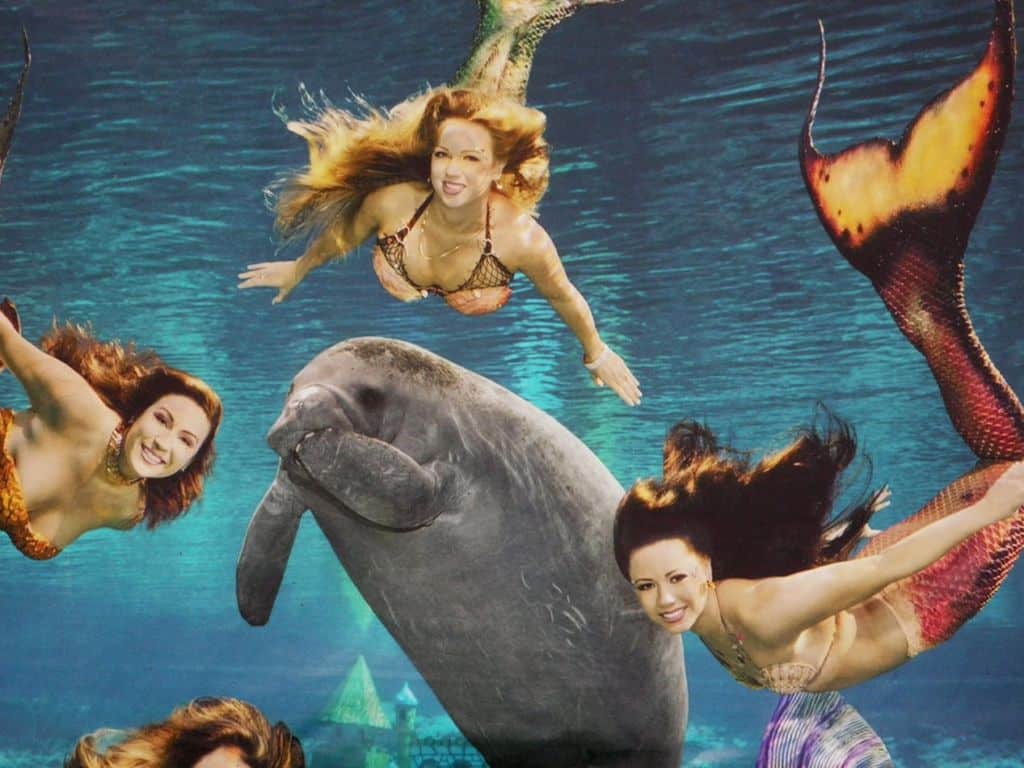 weeki wachee springs, mermaid show florida