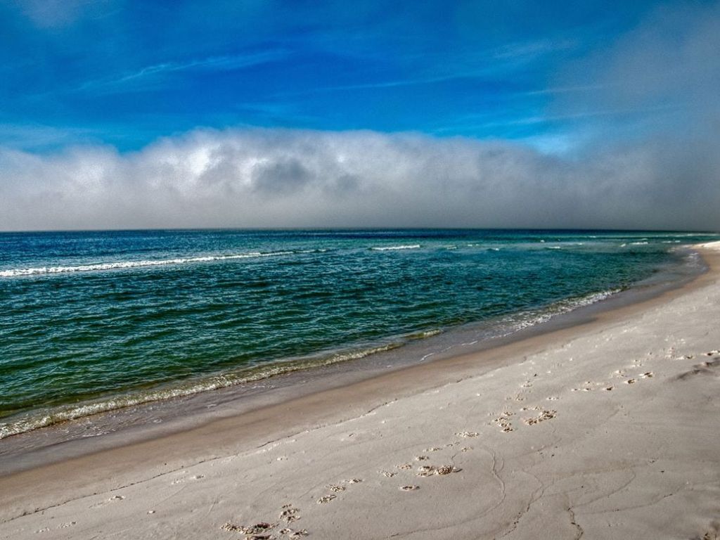 Grayton Beach State Park