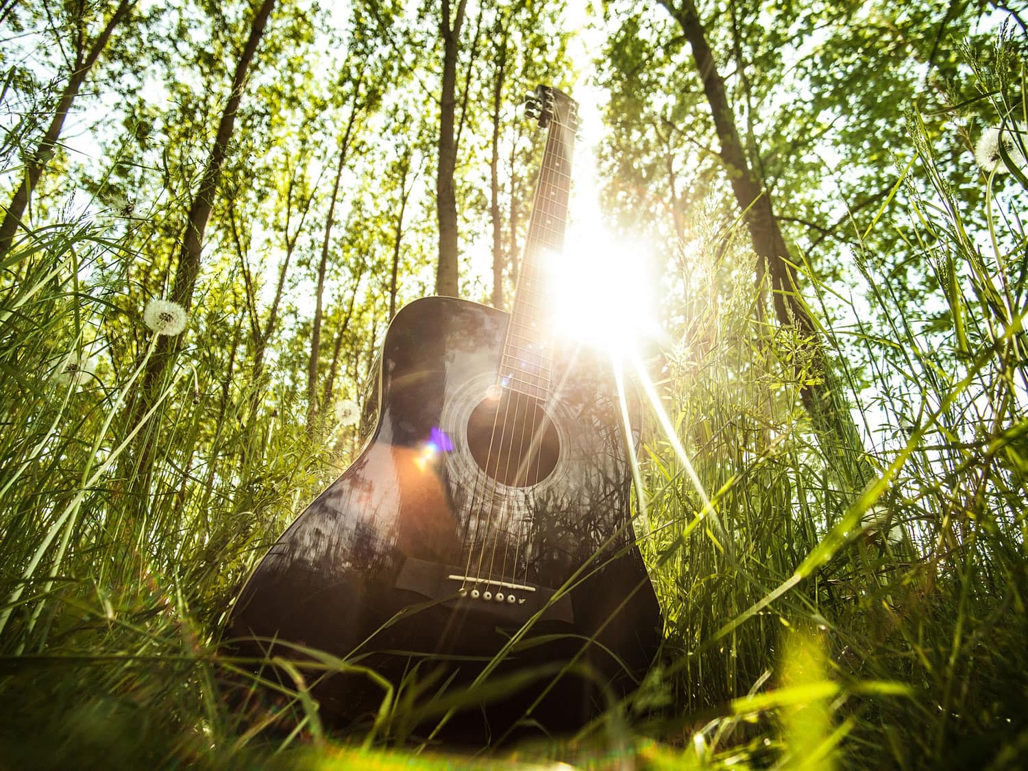 folk music festival florida, gamble rogers festival