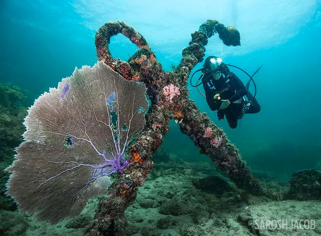 ship wreck florida, pompano beach diving