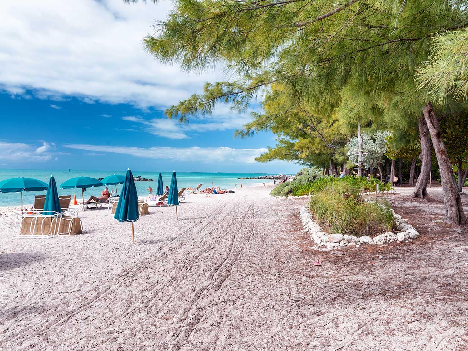 A Florida beach, covered with lounge chairs and umbrellas.