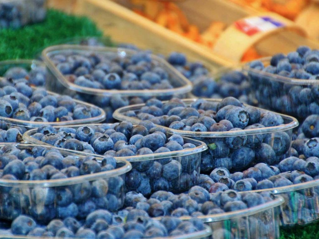 Blueberries stored in plastic containers