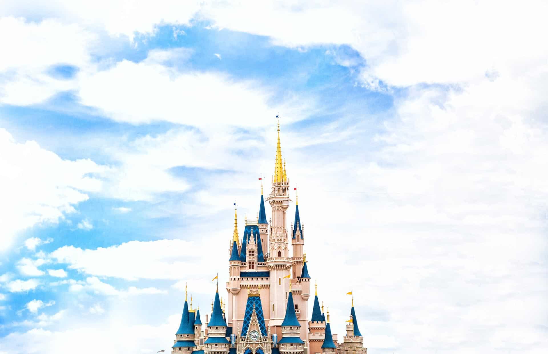 magic kingdom castle