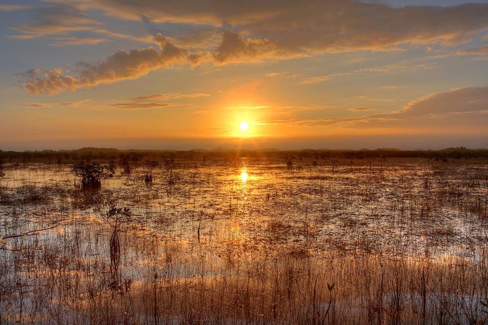 everglades sunset