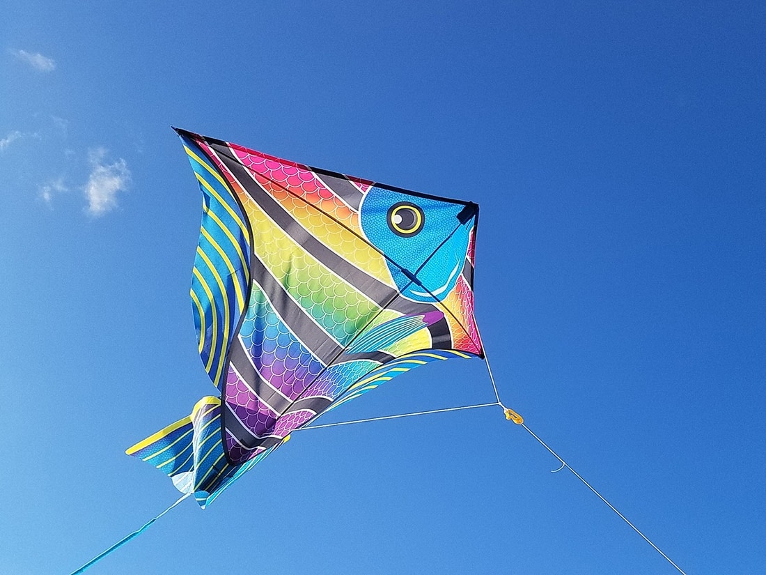 florida kite, kite festival, florida beach, summer events florida