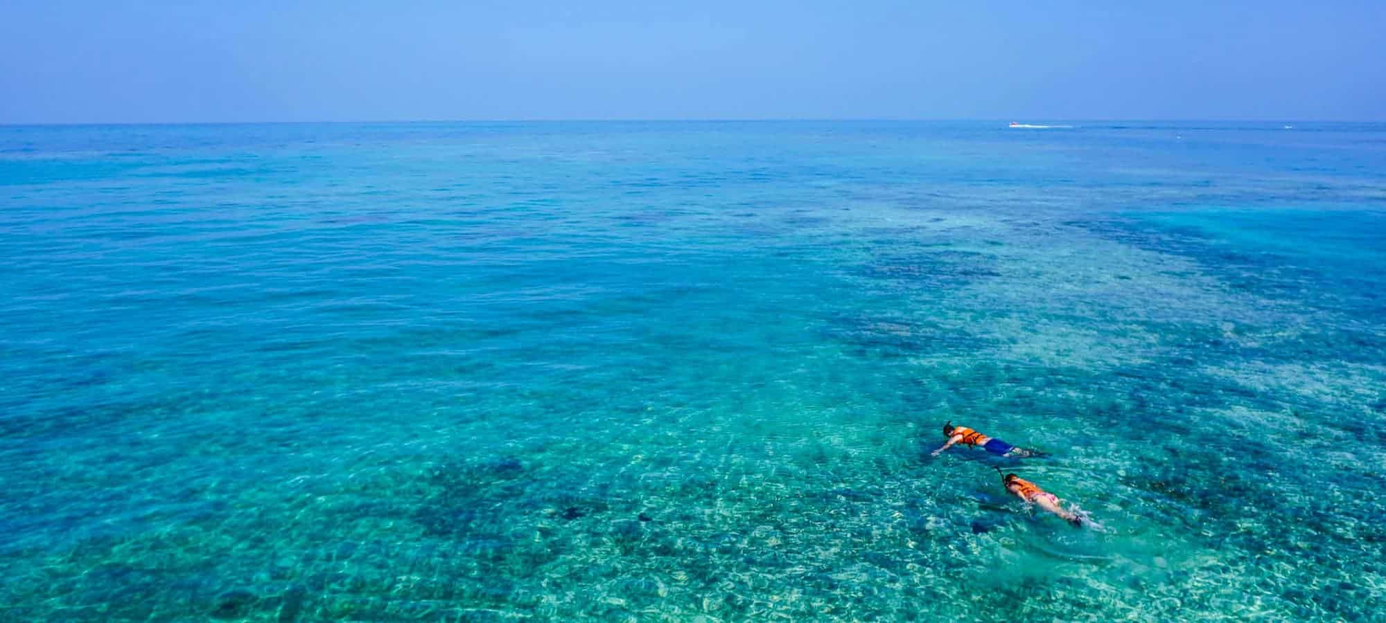 ocean, snorkeling