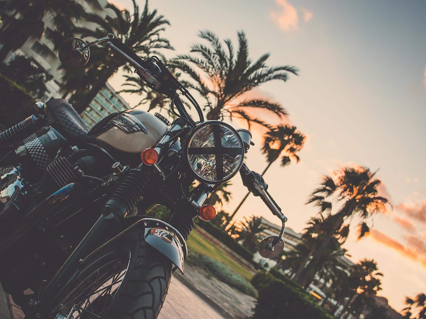 motorcycle and palm trees
