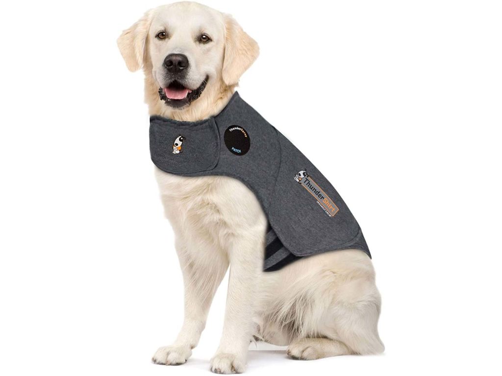 Keep him happy and reassured with his very own security garment.