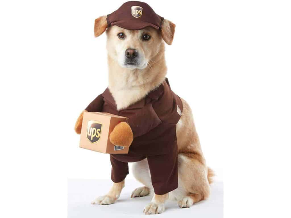 ups costume