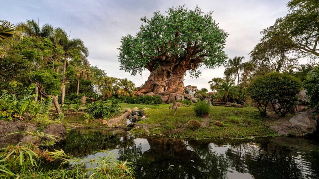 Animal Kingdom’s Tree of Life