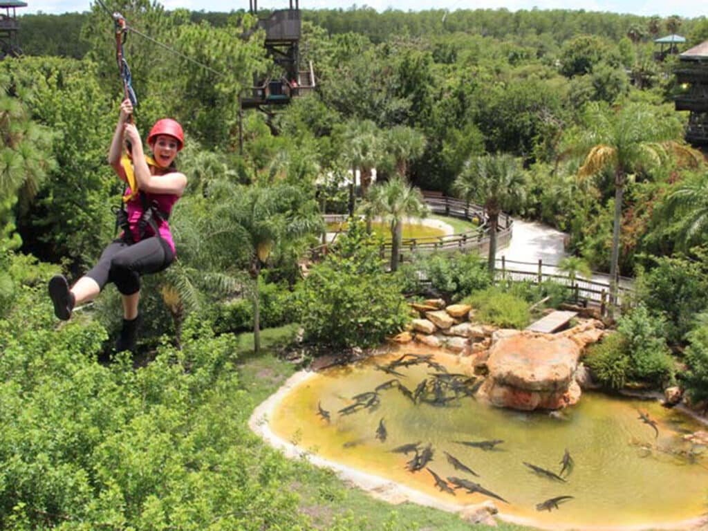 The zipline attraction at Gatorland.