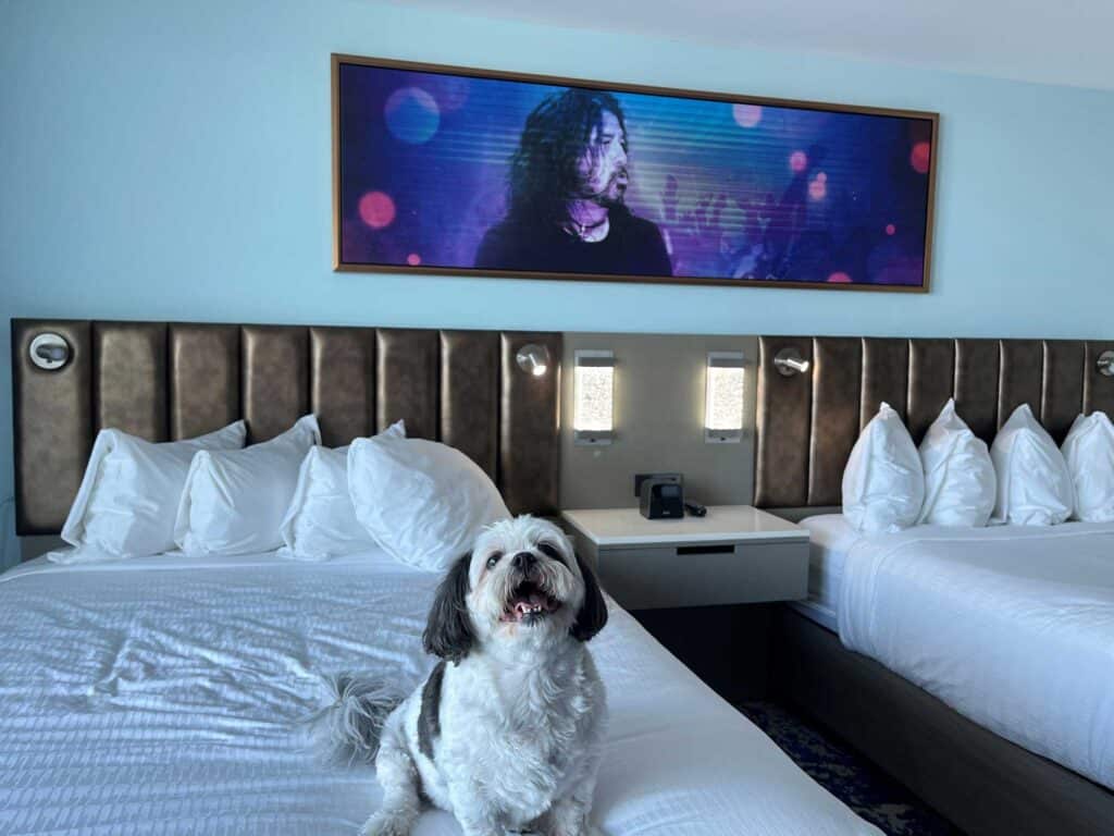 A dog sits on the bed inside the Hard Rock hotel in Daytona Beach